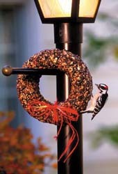 Seed Wreath